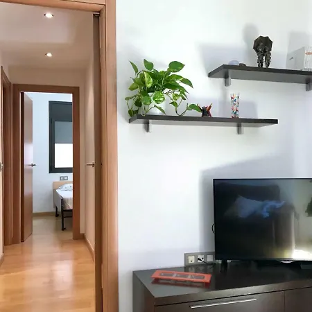 Apartament Centre Historic A Apartment Olot